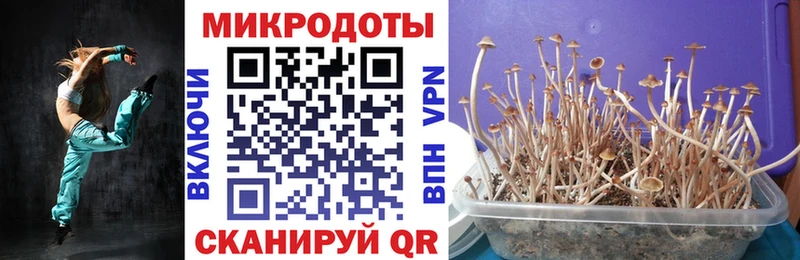 Псилоцибиновые грибы Magic Shrooms  где продают   Прокопьевск 